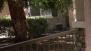 Apartments For Rent In Elk Grove Ca Lake Point Apts